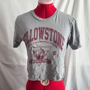 Rebellious One Gray Crop Top with Maroon Print SM395